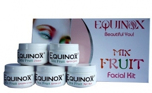 Manufacturers Exporters and Wholesale Suppliers of Equinox – Mix Fruit Facial kit Mumbai Maharashtra